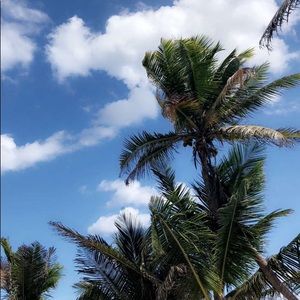 Meet your Posher, Mariama